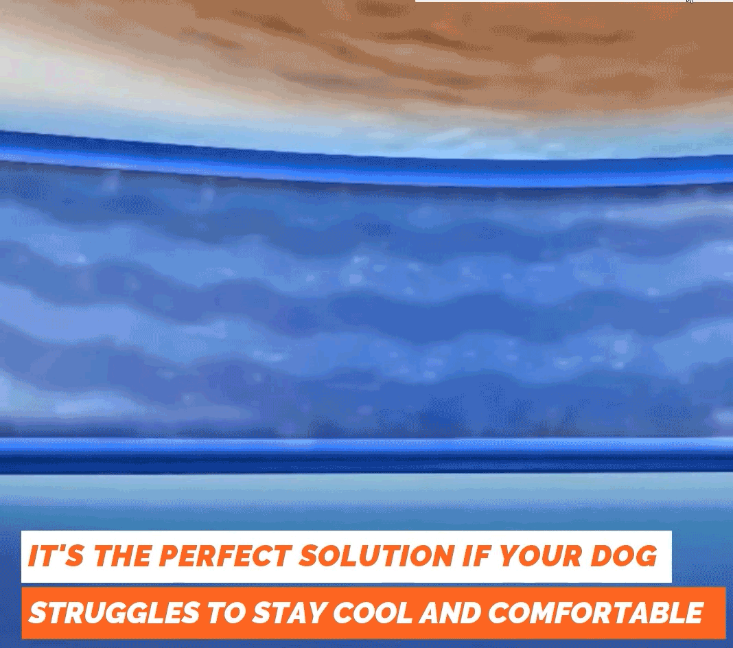 💥This Week's Special Offer 50% Off🧊Dog Cooling Mat (4x more effective)