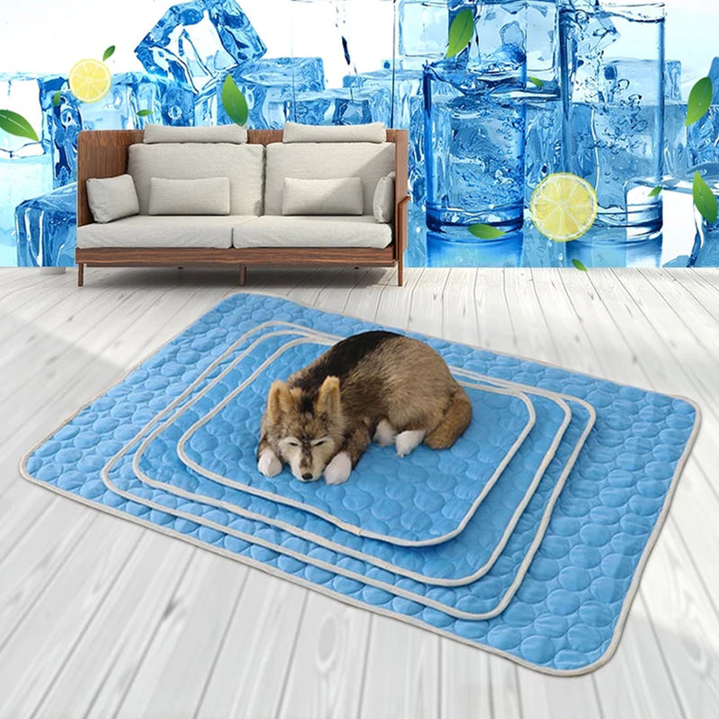 💥This Week's Special Offer 50% Off🧊Dog Cooling Mat (4x more effective)