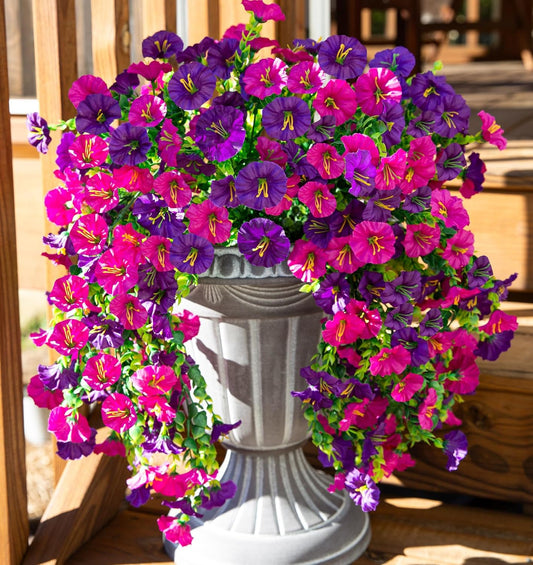 🌺LAST DAY🌺UV-resistant Hanging Morning Glory