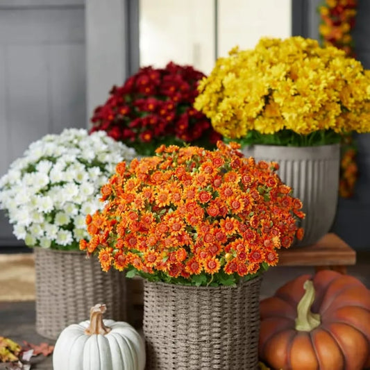 💥Last Day Each Only $2.59- Artificial Outdoor Sunset Mums Flowers - UV resistant, Waterproof, Windproof